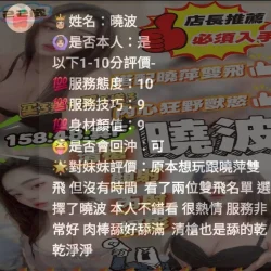 台中定點茶 曉波