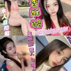 新北定點茶 香酥脆