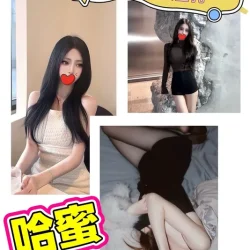台北外送茶 哈蜜