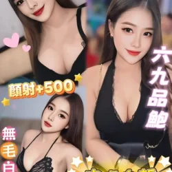 南投定點茶 賈賈