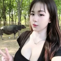 桃園定點茶 川口櫻