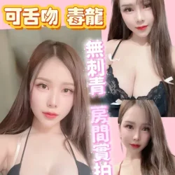 新竹定點茶 莓果