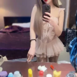 台北定點茶 樹懶叫