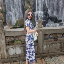 台北定點茶 樹懶叫