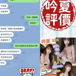 台南定點茶 吟夏