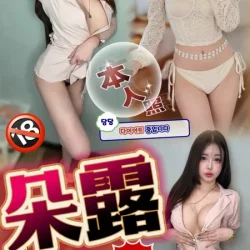 南投定點茶 朵露