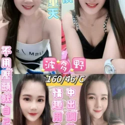 台東定點茶 波多野