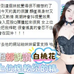 台中定點茶 白桃花