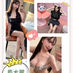 台中定點茶 真木麗