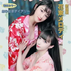 台北定點茶 藤原美