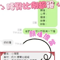 南投定點茶 小海葵