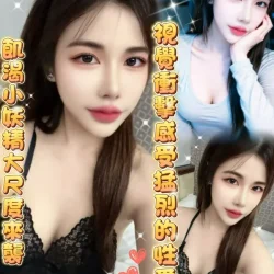 雲林定點茶 蜜雅