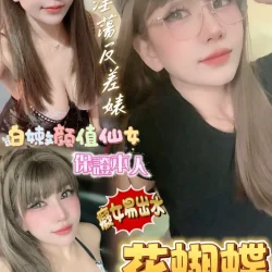 台南定點茶 花蝴蝶