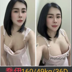 南投定點茶 喬伊