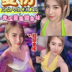 南投定點茶 夏初