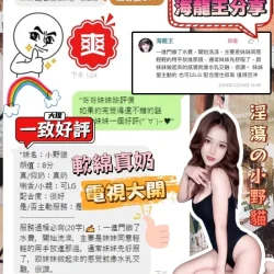 台中定點茶 小野貓 - 找妹老司機