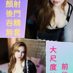 新北定點茶 野貓