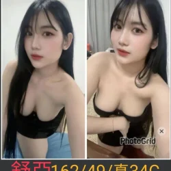 南投定點茶 舒亞