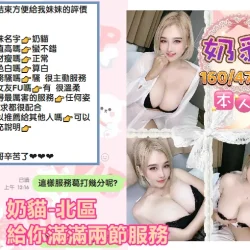 台中定點茶 奶貓 - 找妹老司機