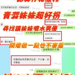 新竹定點茶 筱田優 - 找妹老司機