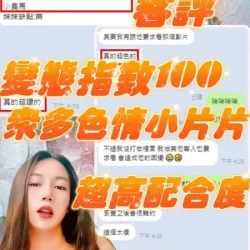 新竹定點茶 筱田優 - 找妹老司機