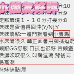 新竹定點茶 小朋友 - 找妹老司機