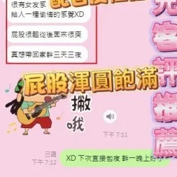 台中定點茶 香奈兒 - 找妹老司機