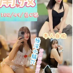 南投定點茶 南枝