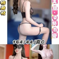 台北定點茶 晴天