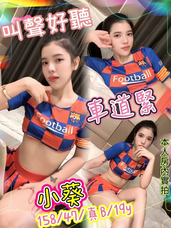 新北定點茶 小葵 1 新北定點茶 小葵