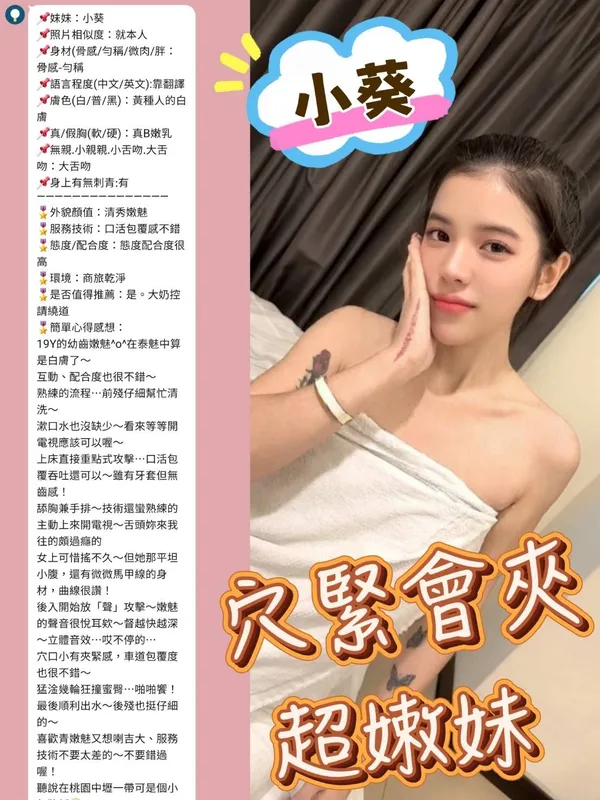 新北定點茶 小葵 3 新北定點茶 小葵:圖片 3