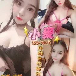 台中定點茶 小麥