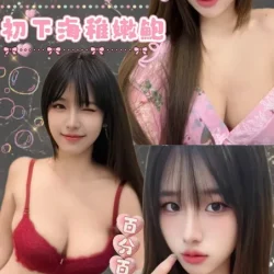 台北定點茶 香櫻