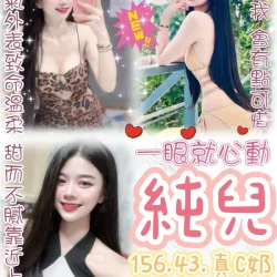 台北定點茶 純兒