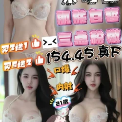 台中定點茶 米可白