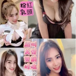 南投定點茶 麗婷