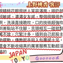 台南外送茶 上野桃香 - 找妹老司機