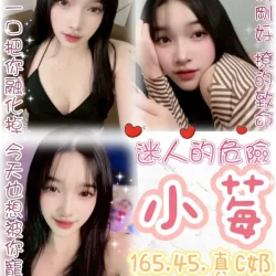台北定點茶 小莓