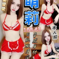 台中定點茶 萌莉