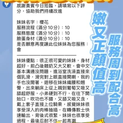 新竹定點茶 櫻花 - 找妹老司機