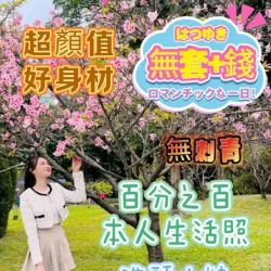 台南定點茶 洗頭小妹