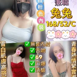 新北定點茶 兔兔
