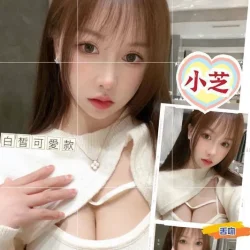 台北定點茶 小芝