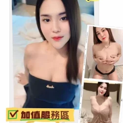 苗栗定點茶 美美