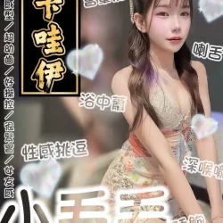 台南定點茶 小毛毛