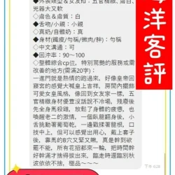 台南定點茶 海洋 - 找妹老司機