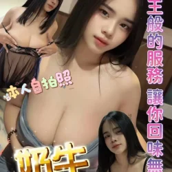 新北定點茶 奶牛