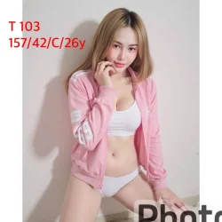嘉義定點茶 T103
