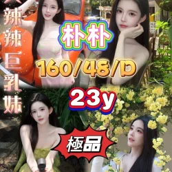 嘉義定點茶 朴朴