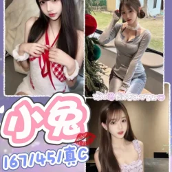 台中定點茶 小兔